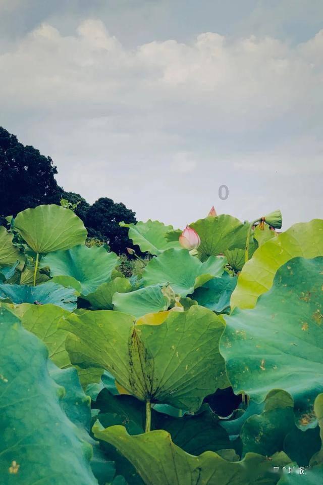 保持大局