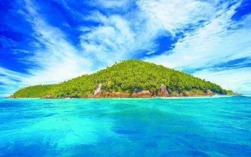 琴覆天下