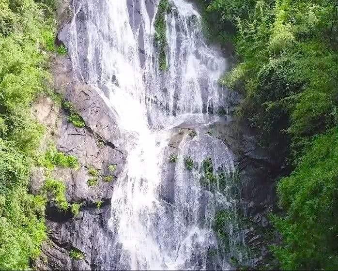 虫虫助手下载